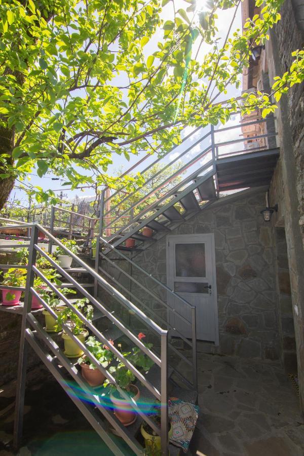 The Mosaic House - Shtepia Me Mozaik Hotel Përmet Екстериор снимка